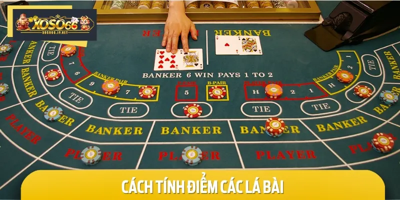 Cách tính điểm các quân bài dùng trong một ván mà bet thủ cần biết