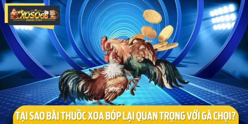 Lợi ích khi sử dụng bài thuốc xoa bóp cho gà chọi