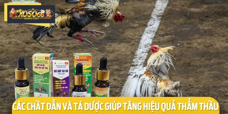 Các chất dẫn và tá dược thường được sử dụng trong bài thuốc