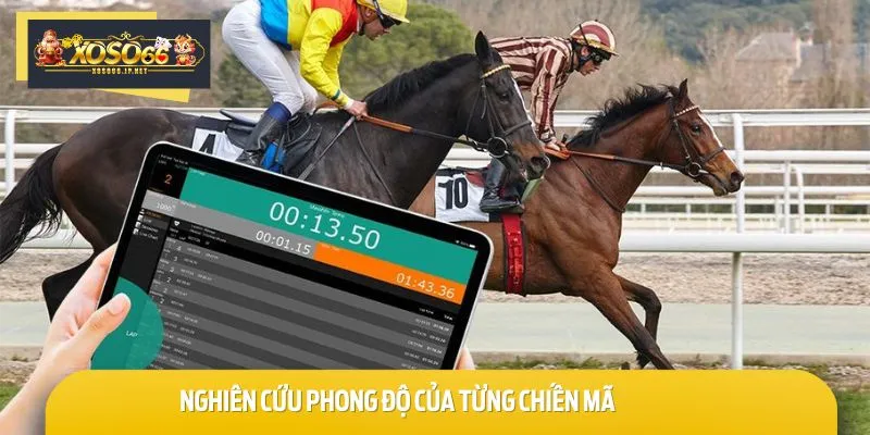 Nghiên cứu kỹ phong độ ngựa chiến trước khi quyết định đặt cược