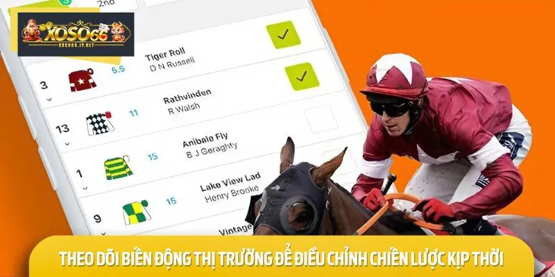 Theo dõi biến động trên thị trường cá cược đua ngựa để vào tiền sáng suốt