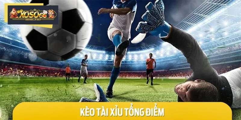 Nhắc đến các loại kèo Tài Xỉu không thể bỏ qua kèo tổng điểm