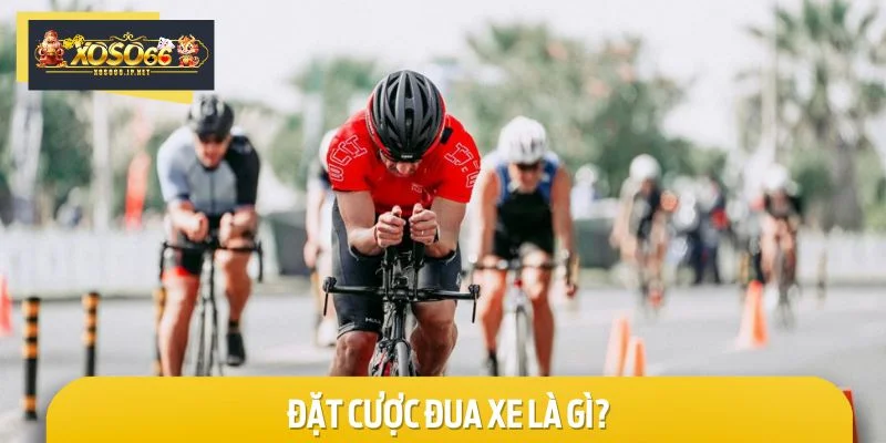 Khám phá về đua xe - bộ môn cược đang được yêu thích tại nhà cái