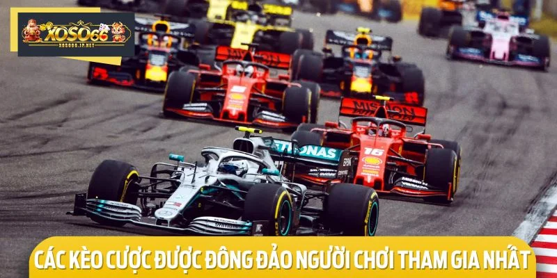 Tổng hợp các kèo cược được đông đảo người chơi tham gia nhất