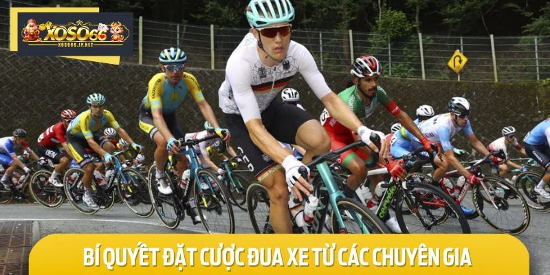 Khám phá bí quyết đặt cược đua xe từ các chuyên gia hàng đầu