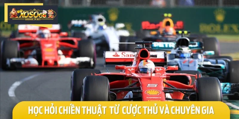 Học hỏi chiến thuật Đặt cược đua xe từ cộng đồng cược thủ và chuyên gia