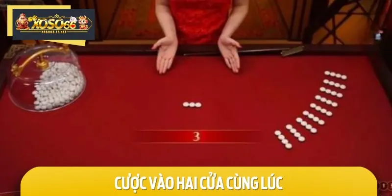 Bạn nên cược vào hai cửa cùng một lúc để tăng tỷ lệ thắng