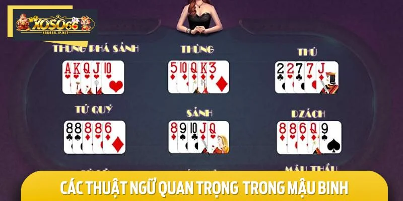 Hiểu rõ thuật ngữ giúp bạn dễ dàng theo dõi và đưa ra quyết định chính xác