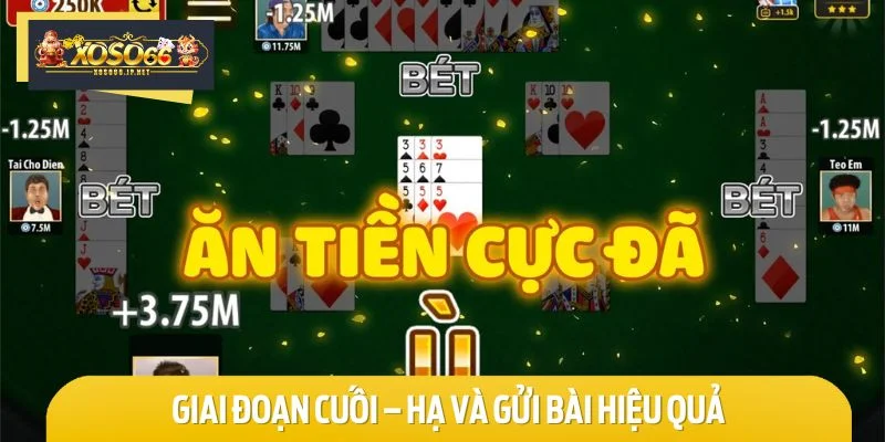 Bet thủ nên chú ý hạ bài đúng lúc