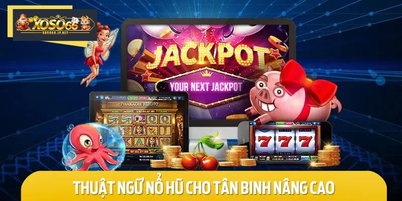 Bet thủ nên ghi nhớ nhóm thuật ngữ nâng cao 