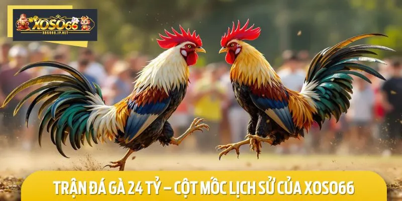 Thông tin giới thiệu sơ lược về Trận đá gà 24 tỷ