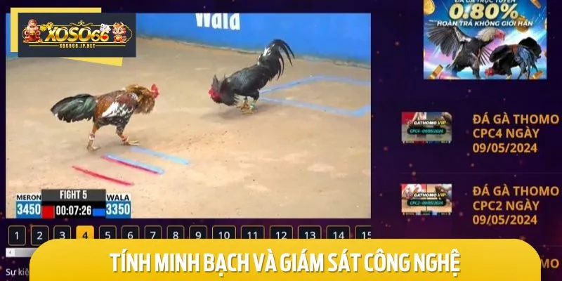 Trận đấu đảm bảo minh bạch tuyệt đối