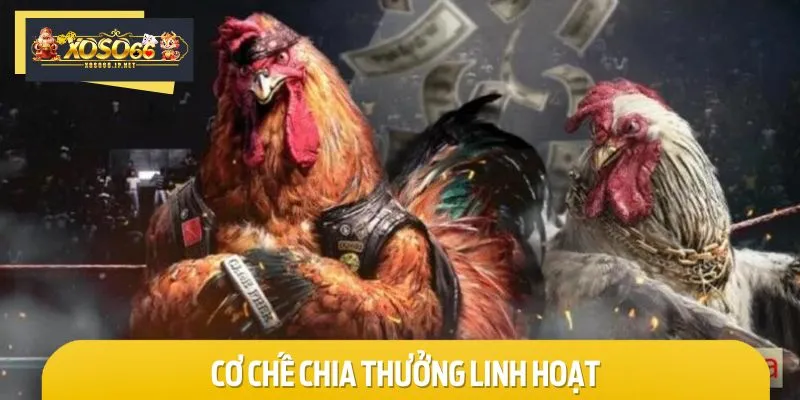 Hệ thống phân chia phần thưởng linh hoạt, đảm bảo tính công bằng